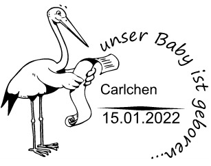 Storch_01 
